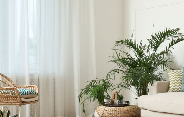 밝고 깨끗한 거실